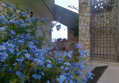 Casa Vacanze Villa Neruda